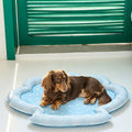 Cloud Pet Bed detail image
