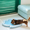 Cloud Pet Bed detail image
