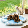 Cloud Pet Bed detail image