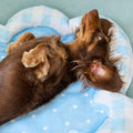 Cloud Pet Bed detail image