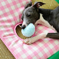 Gingham Pet Bed with Canopy detail image