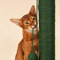 Cactus Cat Scratching Post detail image