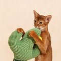 Cactus Cat Scratching Post detail image