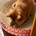 Zeze Cat Scratching Pad detail image