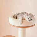 Caspian Cat Tree Tower detail image