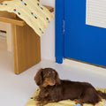 Dachshund Pattern Cushion Cover detail image