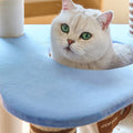 Caspian Cat Tree Tower detail image