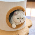 Caspian Cat Tree Tower detail image