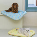Coco Pet Cushion Set detail image