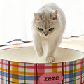 Zeze Pet Bed detail image