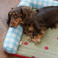 Clover Poolside Pet Bed detail image