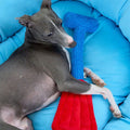 Zeeze Striped Pet Bed detail image