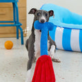 Zeeze Striped Pet Bed detail image