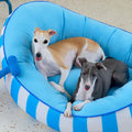 Zeeze Striped Pet Bed detail image