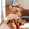 Cuddly Bear Plush Chair detail image