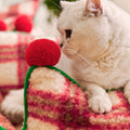 Caspian Plaid Pet Bed Set detail image