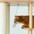 Cypress Cat Tree Set detail image