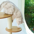 Cypress Cat Tree Set detail image