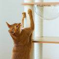Cypress Cat Tree Set detail image