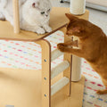 Cypress Cat Tree Set detail image