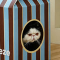 Zezé Cat House detail image
