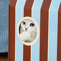 Zezé Cat House detail image