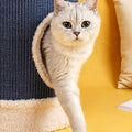 Ducky Cat Scratching Post detail image