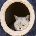 Ducky Cat Scratching Post detail image