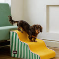 Zeze Kids Lounge Set detail image