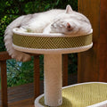 Cypress Cat Tree detail image