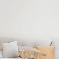 Charlie Cat/ Dog Bed, Soft Sofa Shape