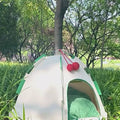 Willow Pet Tent Cave for Cats, Cat Bed for Indoor Cats