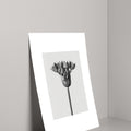 Decoration: Daisy Calyx Wall Art, 40*50 cm-Le Di Vita- | Le Di Vita