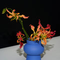 Decoration: URFF Vase, Blue-Le Di Vita- | Le Di Vita