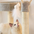 Pippa Cat Climber, Cat Tree, Boucle