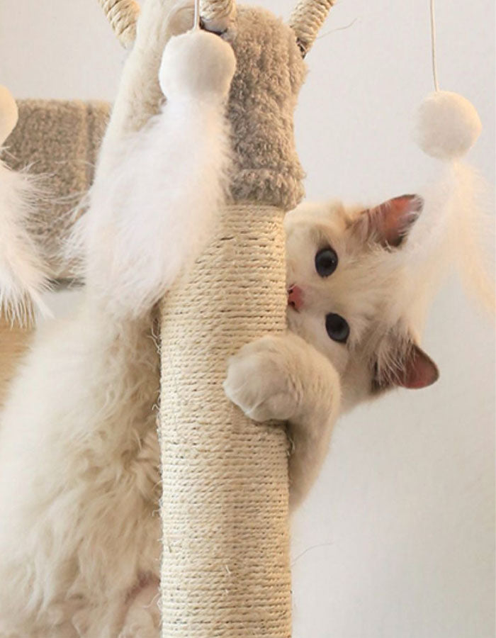 Pippa Cat Climber, Cat Tree, Boucle