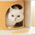Rubber Duck Rainforest Cat Climber, Cat Tree, Boucle