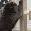 Leandra Cat Climber, Cat Tree, White