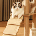 Sullivan Cat Climber, Cat Tree, Wood