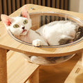 Sullivan Cat Climber, Cat Tree, Wood