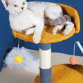 Star Cat Climber, Cat Tree, Boucle-Le Di Vita- | Le Di Vita