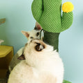 Cactus Cat Scratcher Tree-Le Di Vita- | Le Di Vita