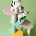 Rainforest Cat Climber, Cat Tree, Boucle-Le Di Vita- | Le Di Vita