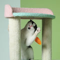 Rainforest Cat Climber, Cat Tree, Boucle-Le Di Vita- | Le Di Vita
