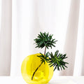 Decoration: Molly PD12 Vase, Acrylic-Le Di Vita- | Le Di Vita
