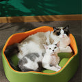 Paula Pet Bed for Puppy and Kitty, Extra Soft, Cat Bed