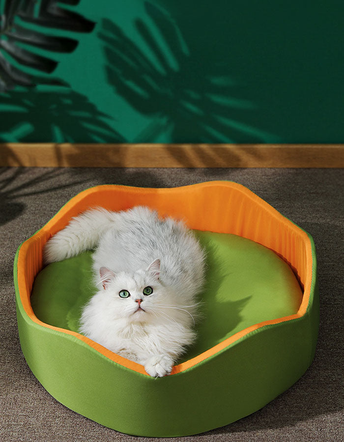 Paula Pet Bed for Puppy and Kitty, Extra Soft, Cat Bed