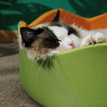 Paula Pet Bed for Puppy and Kitty, Extra Soft, Cat Bed