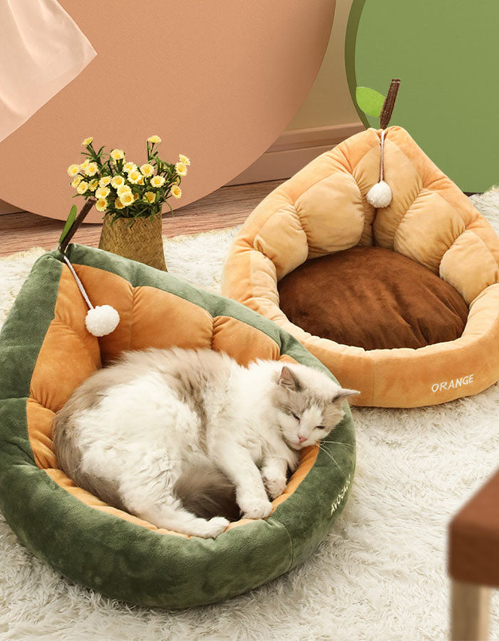 Avocado Pet Bed for Dogs and Small Cats, Green & Orange