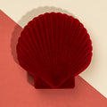 Shell Jewel Box-Trays-Le Di Vita- | Le Di Vita